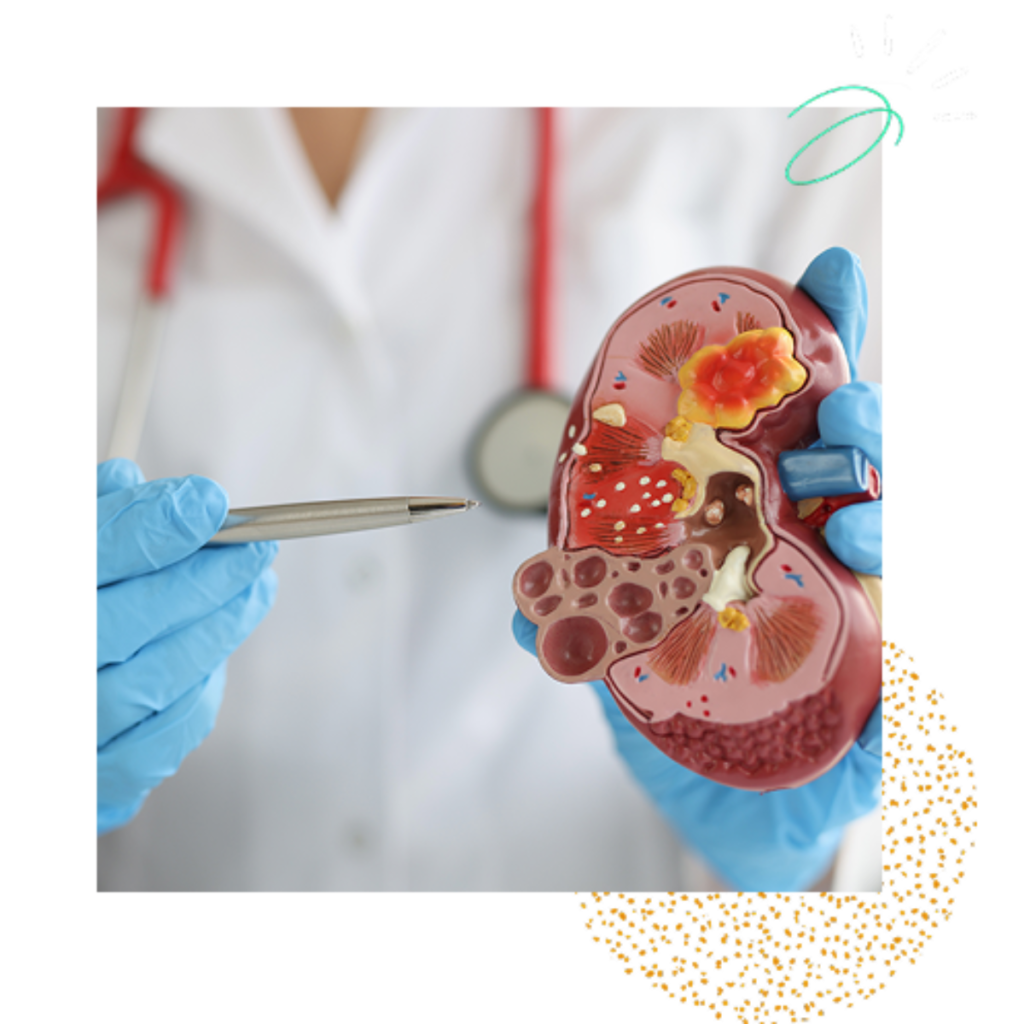 Nephrology services page