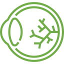 ophthalmology billing services